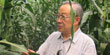石元春